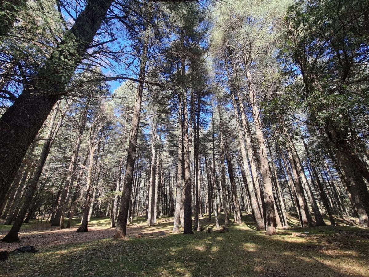 La Pommeraie D'Ifrane Ifrane  Exterior photo