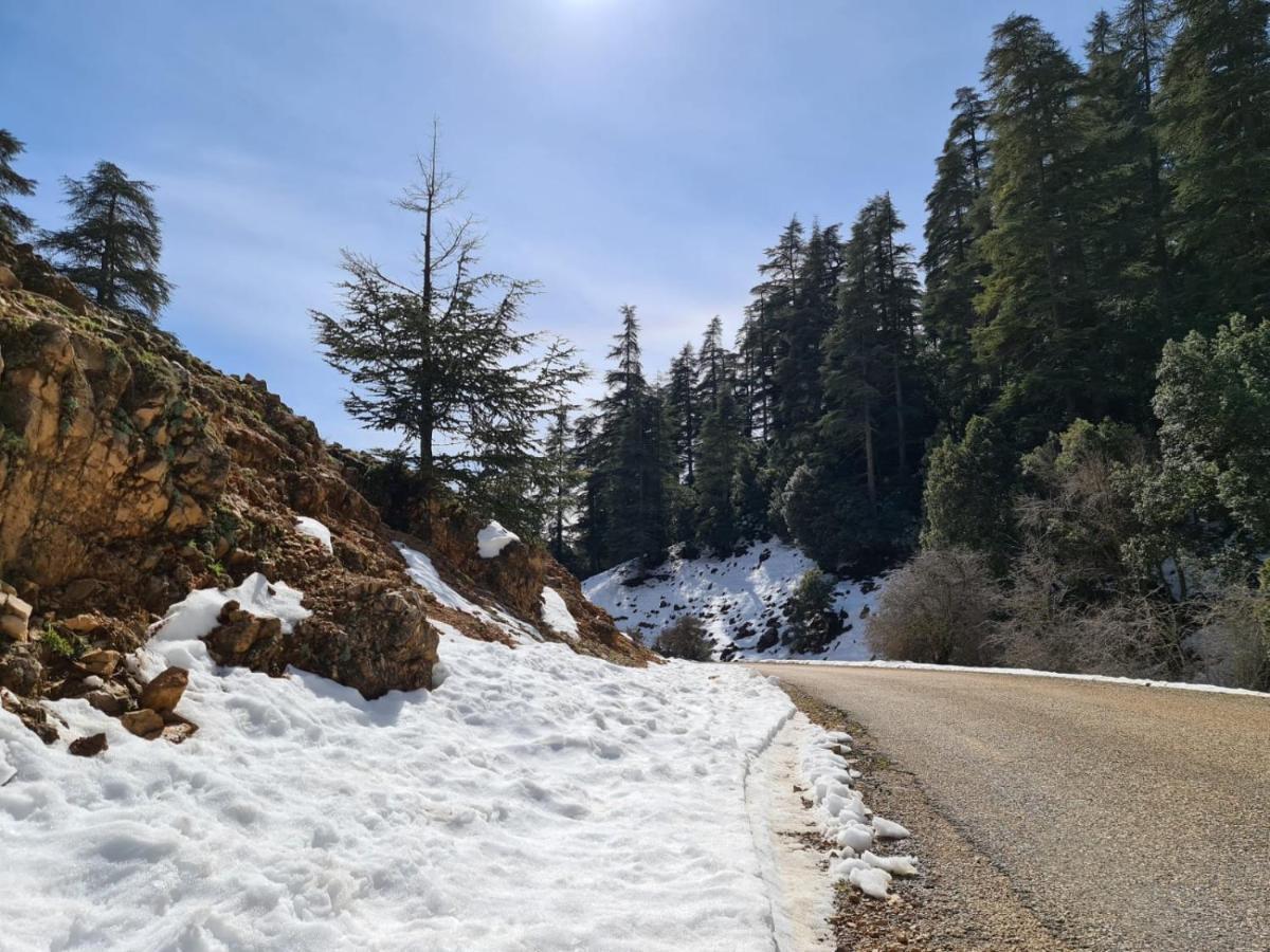 La Pommeraie D'Ifrane Ifrane  Exterior photo
