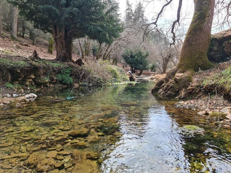 La Pommeraie D'Ifrane Ifrane  Exterior photo