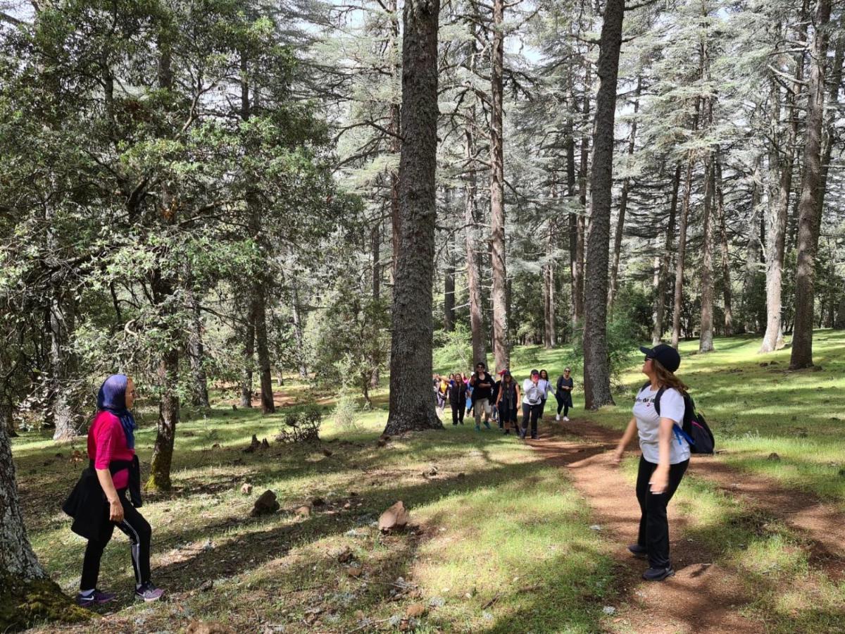 La Pommeraie D'Ifrane Ifrane  Exterior photo