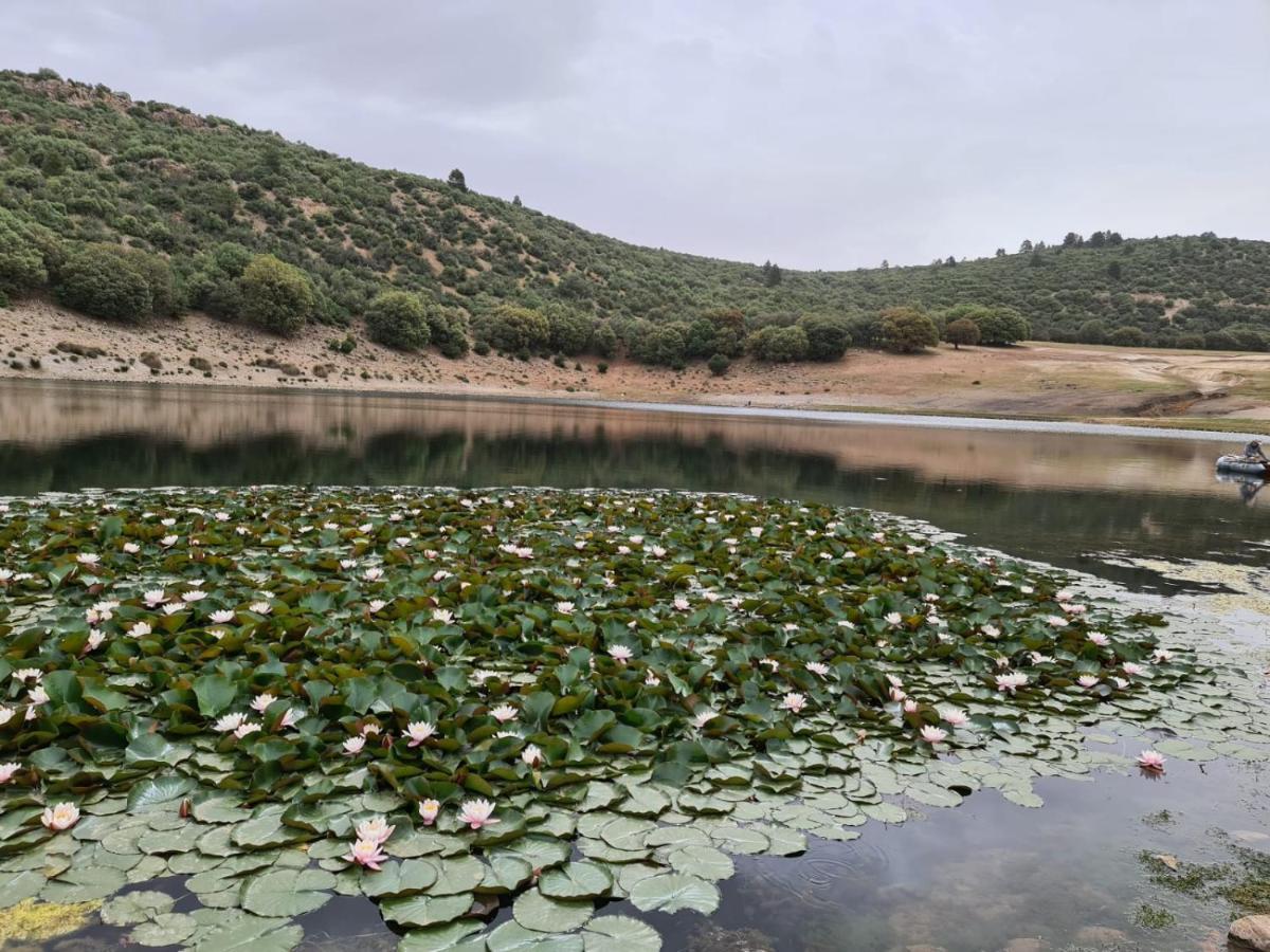 La Pommeraie D'Ifrane Ifrane  Exterior photo